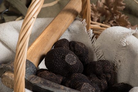 Truffes entières Tuber Melanosporum