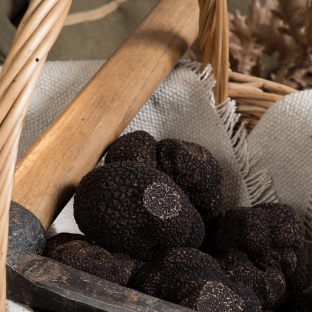 Truffes entières Tuber Melanosporum