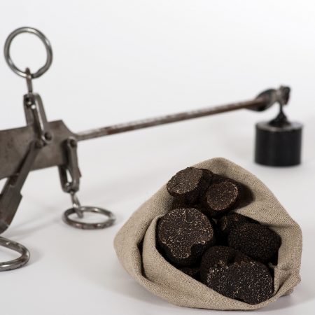 Morceaux de truffes Tuber Melanosporum