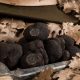 Truffes fraiches La truffe du Ventoux