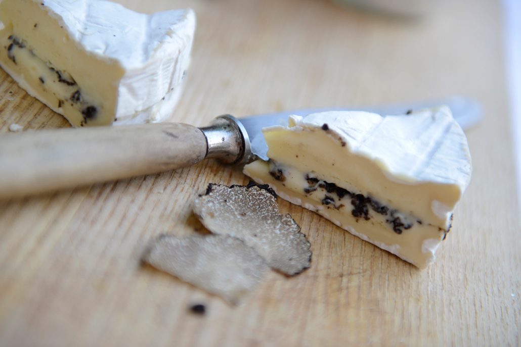 Decouverte-de-la-truffe-photo-03-1030×687 (1)