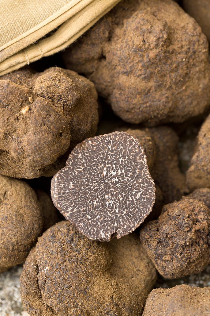 Decouverte-de-la-truffe-photo-07-686×1030