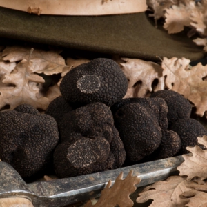 Truffe Noire fraîche entière « Tuber Melanosporum »
