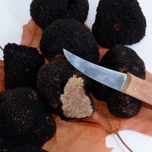 Truffes fraiches “Tuber Uncinatum” (entières)