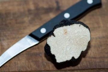 truffe-d-ete-495x400